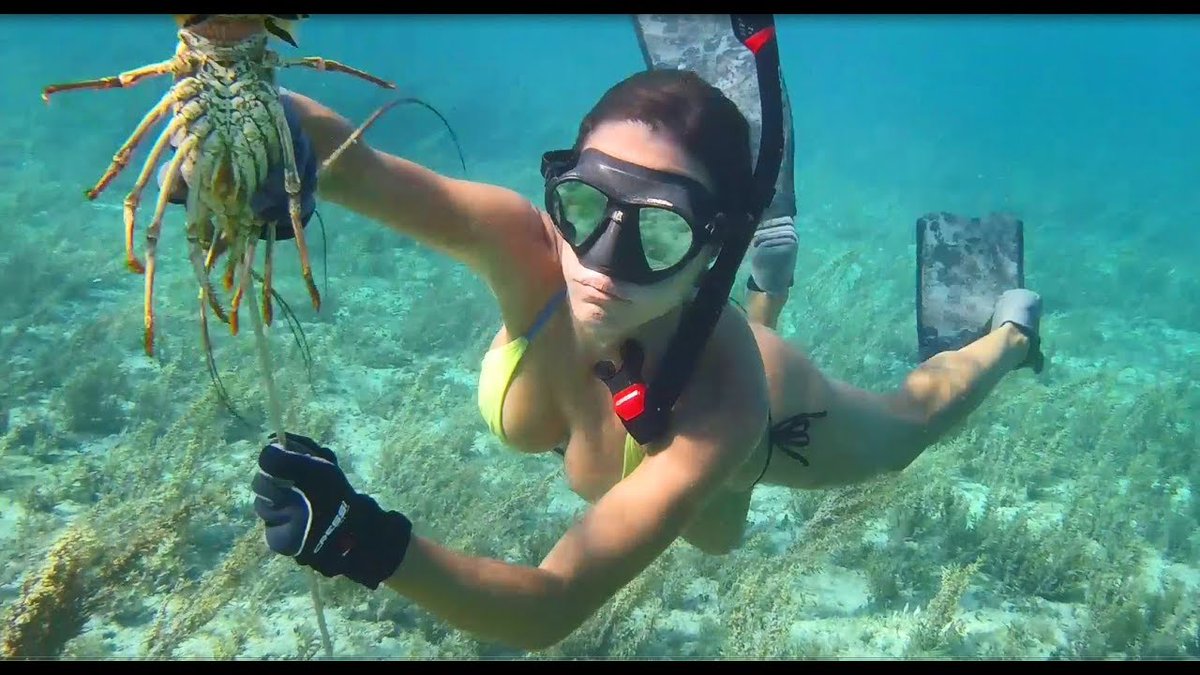 Fishing with Luiza Spearfishing and lobster fishing in Grand Bahama!
New: acpnation.com 🦌🐟 #conch #conch #cook #cook #coralheads #coralheads #Diving #Diving #fishfry #fishfry #fishing #fishing #fishingvideos #fishingvideos #fishingwithluiza

bit.ly/4awQRHV