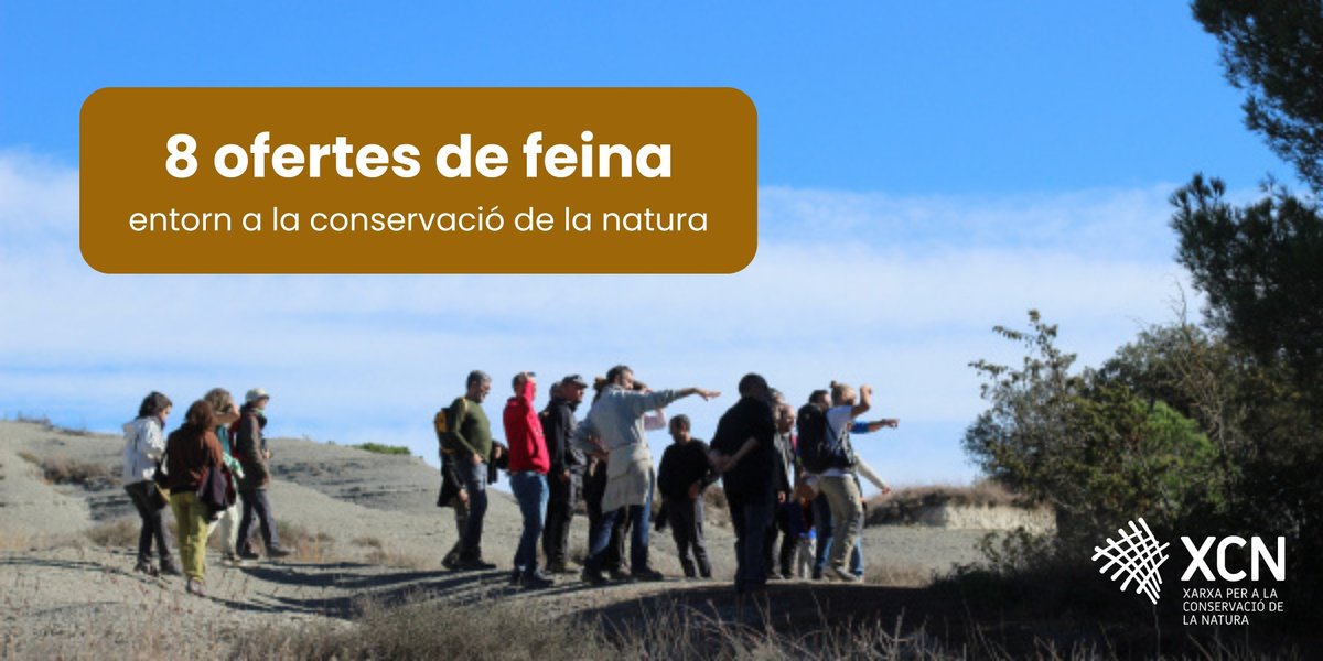 Ei!👋Et dediques o vols dedicar-te a la conservació de la #natura? Ara tens una gran oportunitat🤩👇

Algunes entitats membres de la <a href="/XCNatura/">XCN</a> han obert fins a 8 ofertes de feina!

Segueix el fil per conèixer-ne els detalls🧵