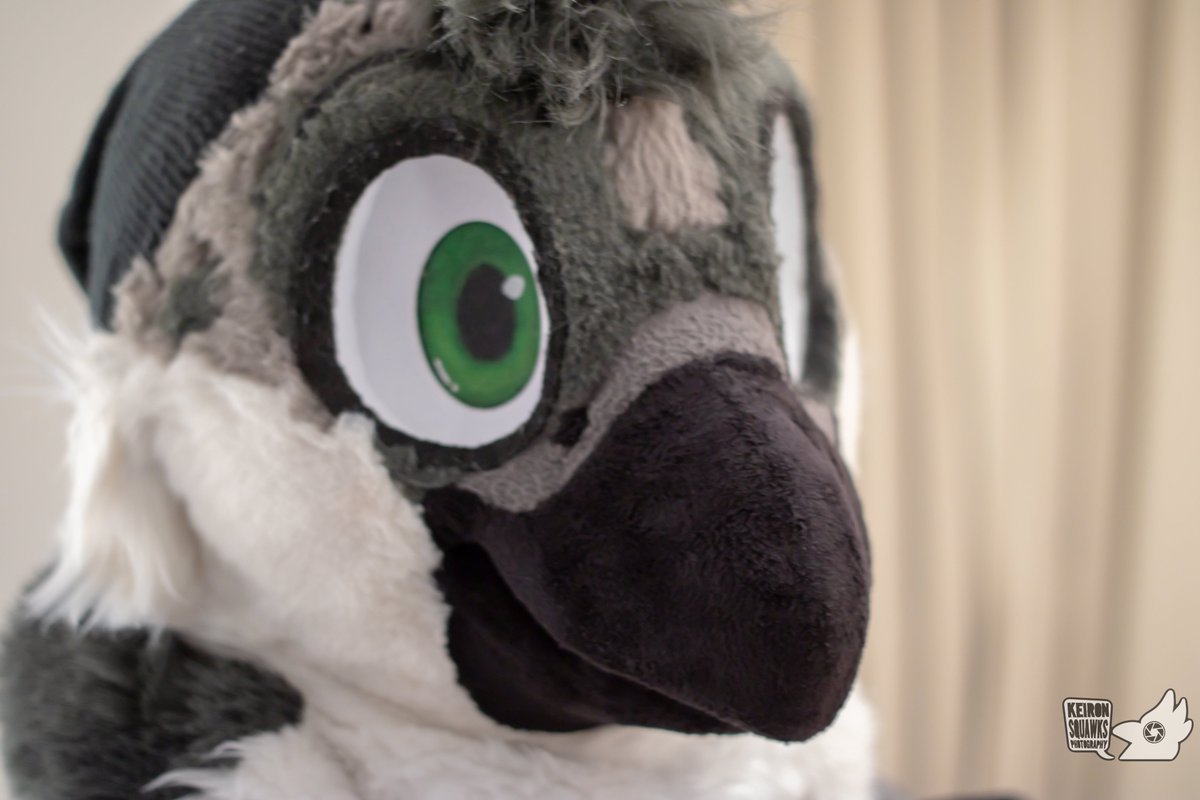 Currently slowly editing pics but I gotta show off the adroabirb <a href="/BboyFlitch/">Bboy Flitch</a>