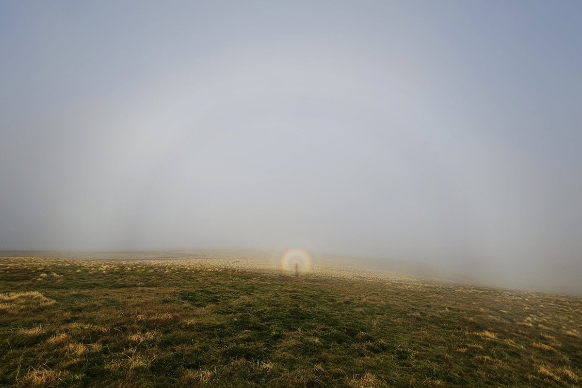 Head in the clouds at times today, complete with this #fogbow #glory and #brockenspectre. Great to see #atmosphericoptics #loveukweather