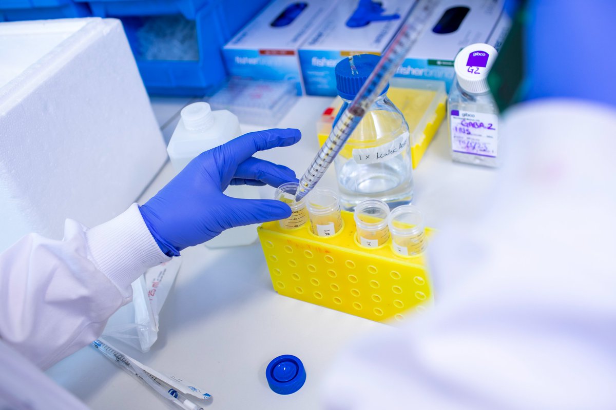 At #alsmndsymp, researchers from <a href="/FrattaLab/">FrattaLab</a> spoke about their work to create a potential gene therapy for #MND #ALS.

This new type of gene therapy could reduce some of the damage caused by a faulty protein (TDP-43) in neurons in MND/FTD.

Read more ⬇️

mndassociation.org/research/lates…