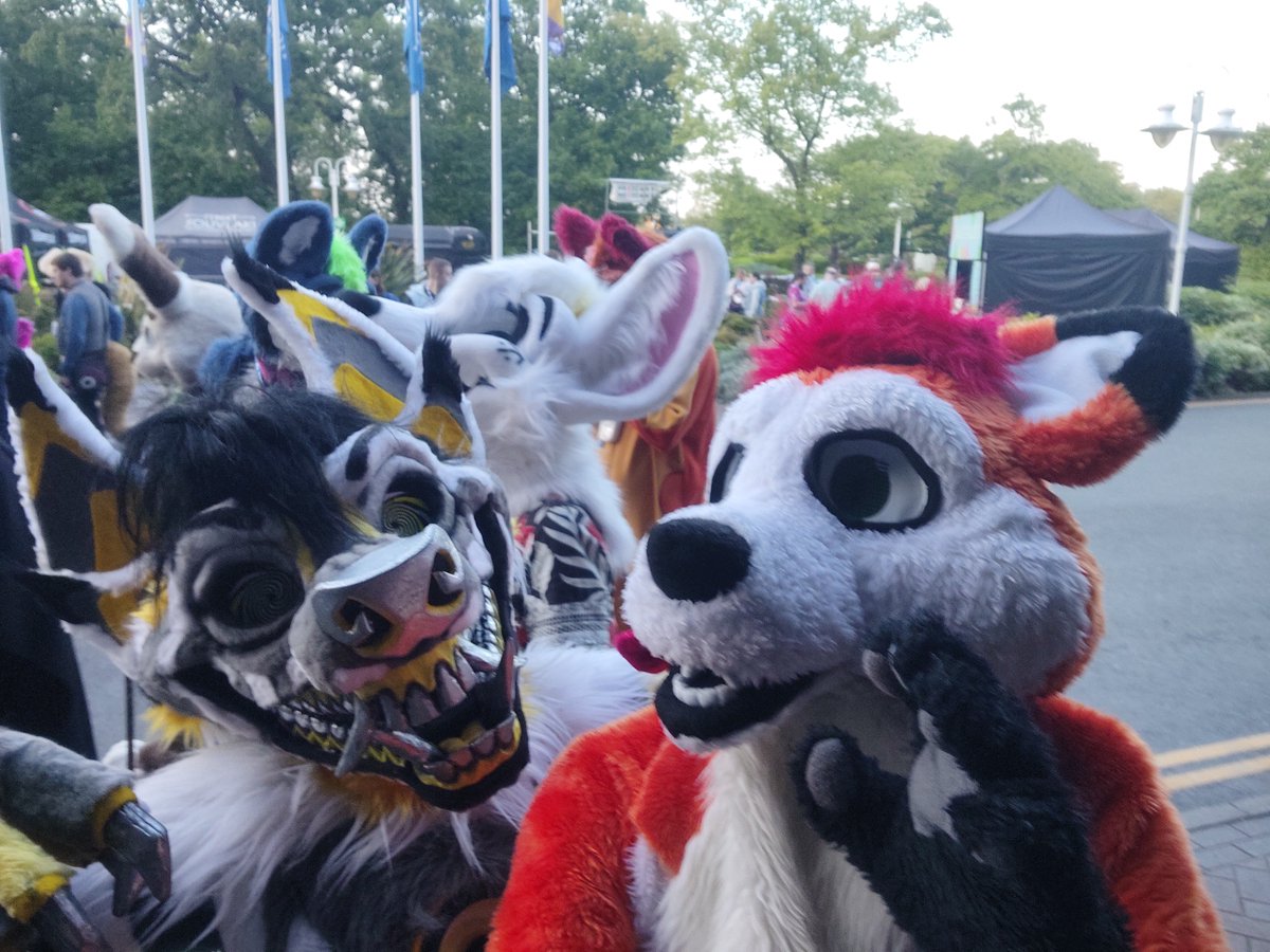 LeoTheFox7 tweet picture