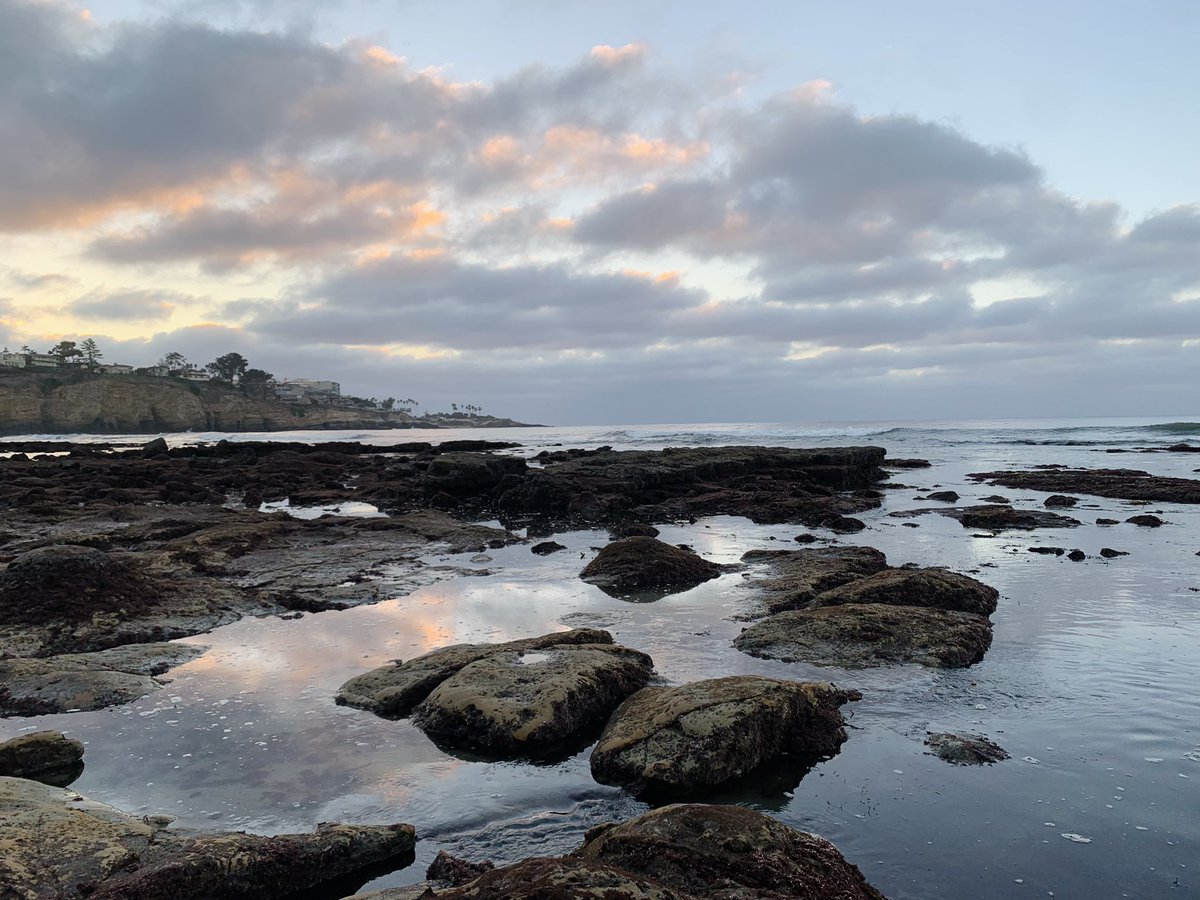 Mike Agius (@10mm_mike) on Twitter photo #ASH23🩸Such a great experience to finally share my IRF4 inhibitor story! Great meeting new colleagues, old friends…and you can’t beat the 🌞 in San Diego 🙌🏾! <a href="/IrenemGhobrial/">Irene Ghobrial</a> <a href="/JunQiLab/">Jun Qi Lab</a> <a href="/SiranoDhePagano/">Sirano Dhe-Paganon</a> #ASH23🩸Such a great experience to finally share my IRF4 inhibitor story! Great meeting new colleagues, old friends…and you can’t beat the 🌞 in San Diego 🙌🏾! <a href="/IrenemGhobrial/">Irene Ghobrial</a> <a href="/JunQiLab/">Jun Qi Lab</a> <a href="/SiranoDhePagano/">Sirano Dhe-Paganon</a>
