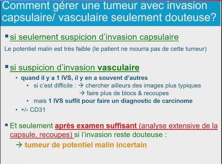 🔬 Carcinome folliculaire thyroïdien par Dr Belleannée @GBelleanneeMD au #CarrefourPathologie2023 🇲🇫 #pathology #endopath #francophonepath @SFPathol