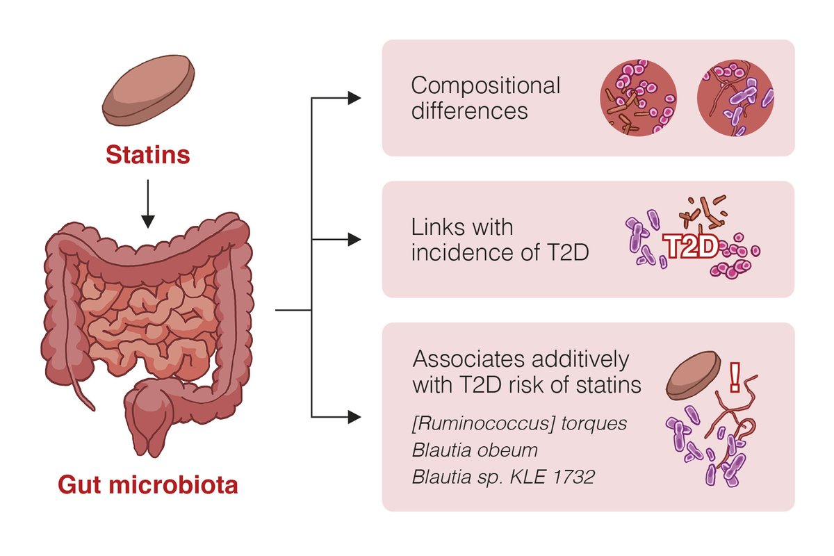 Population-based gut microbiota study identifies novel links with higher statin-associated new-onset type-2-diabetes risk. <a href="/cbrenchy/">Caitriona Brennan</a> <a href="/antagomir/">Leo Lahti</a> <a href="/MattiRuuskanen/">Matti Ruuskanen</a> <a href="/phylogeo/">Guillaume Méric</a>
ahajrnls.org/3uUQpmq