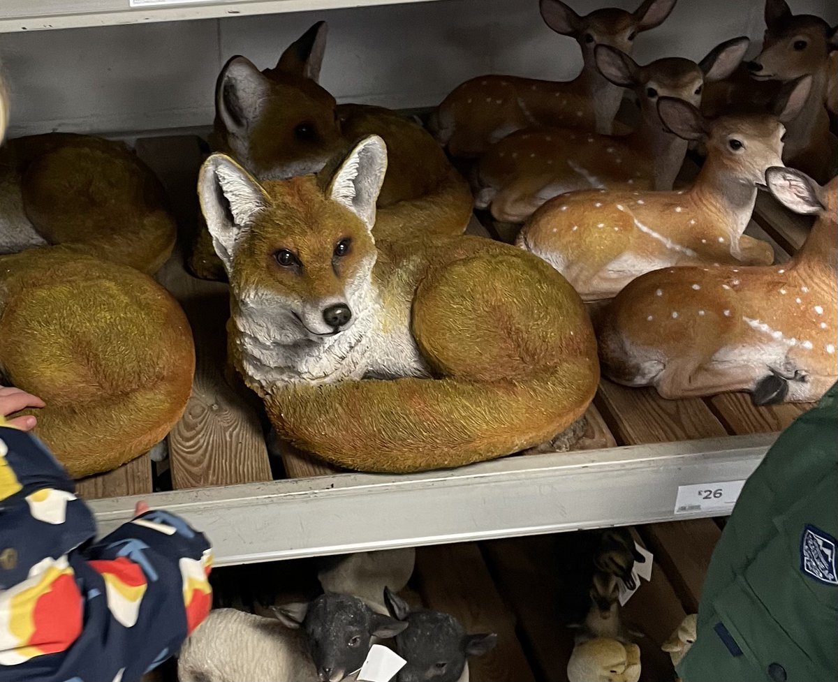 Spotted in B&Q... [resin] plastic fox, perfect xmas gift for fans of @mikartistik and if you’re lucky enough to have tickets, waving in the crowd at @glastonbury 🦊