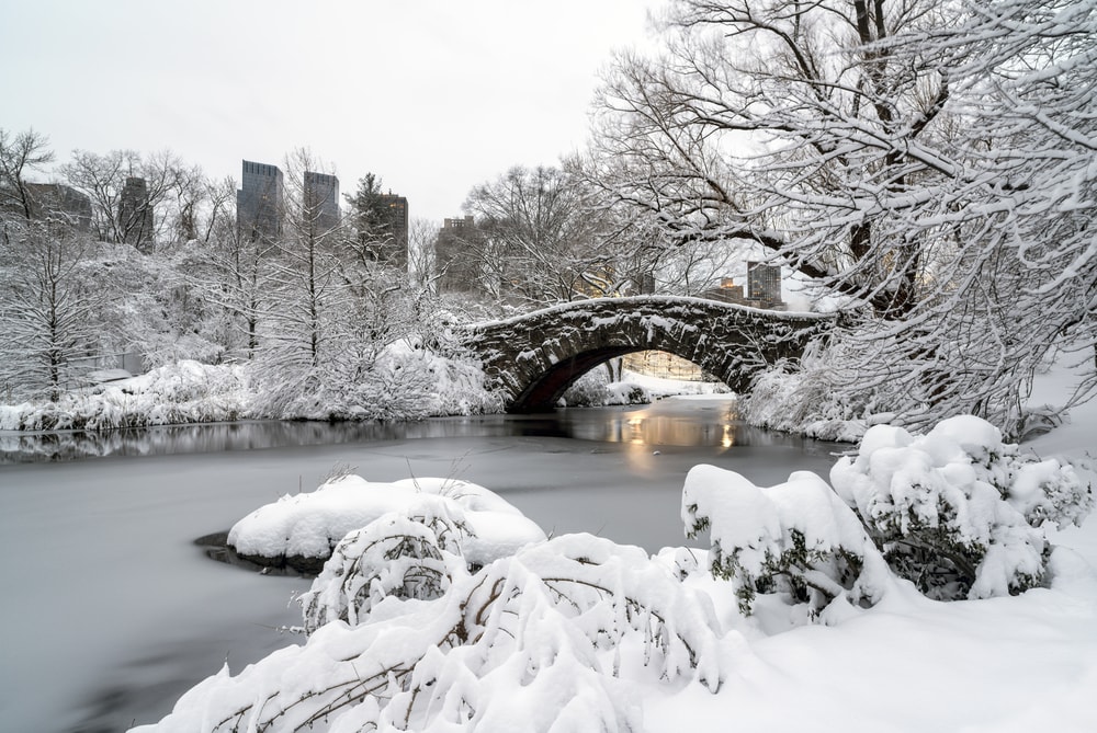 Central Park - New york