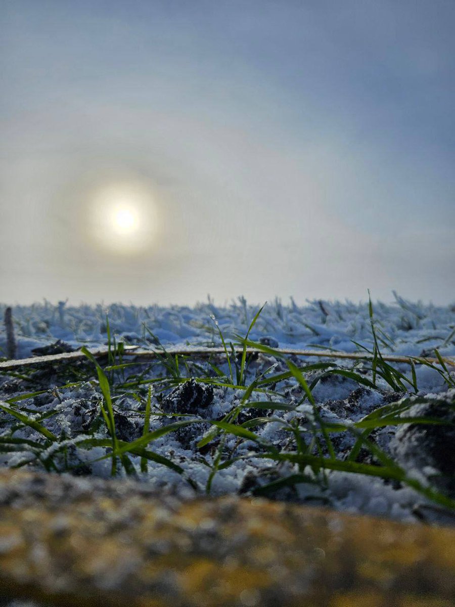 Поля Контінентал не залишаються без уваги навіть взимку