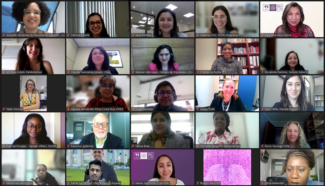 La Red de Funcionarias/os Parlamentarios #ParlAmericasGEN ⚥ reunida para el intercambio de buenas prácticas y políticas de cuidados dentro de los parlamentos de las Américas y el Caribe 🌎