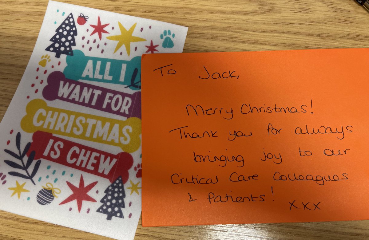We 😍 seeing our Therapy Dog 🐶 Jack today to give him his Christmas 🎅🏼 🎁 & to thank him for bringing so much joy 🤩 to our staff and patients on Southport Critical Care Unit 🩷Christmas🎄 @TeamCritCare @MWLNHS #rehablegend