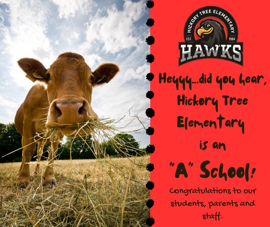 Hickory Tree Elem. (@hickorytreeelem) on Twitter photo 