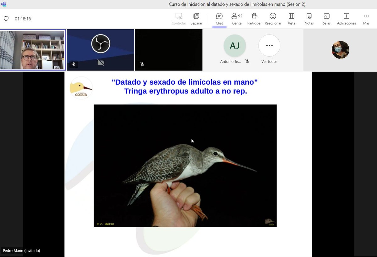 Anillamiento_SEO tweet media
