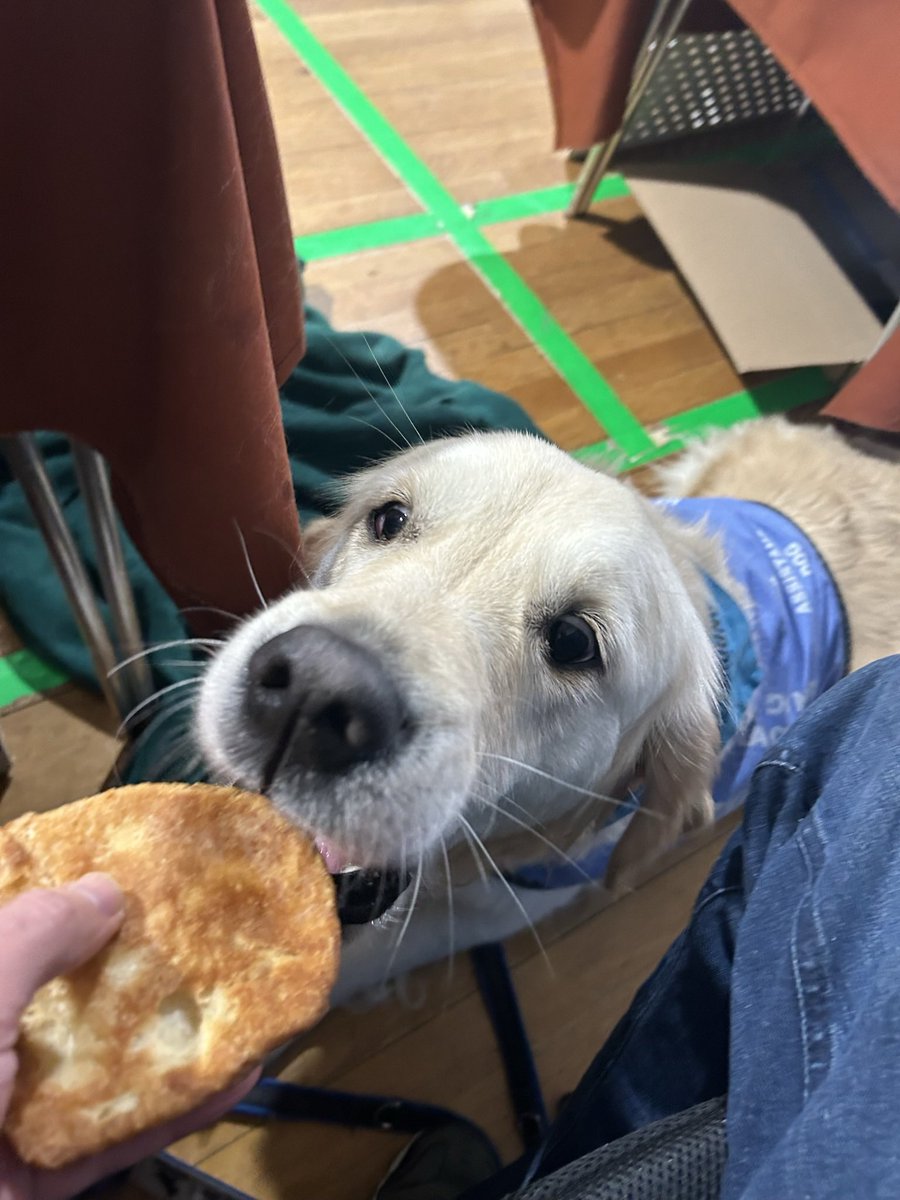 Scottishrecipes's tweet photo. At the local Scouts Christmas Fair I was given an extra #buttery so my assistance dog could enjoy one. I’ve never seen a #rowie disappear so quickly! 

https://t.co/1BxBQWOUrs https://t.co/YjjFk21XjX