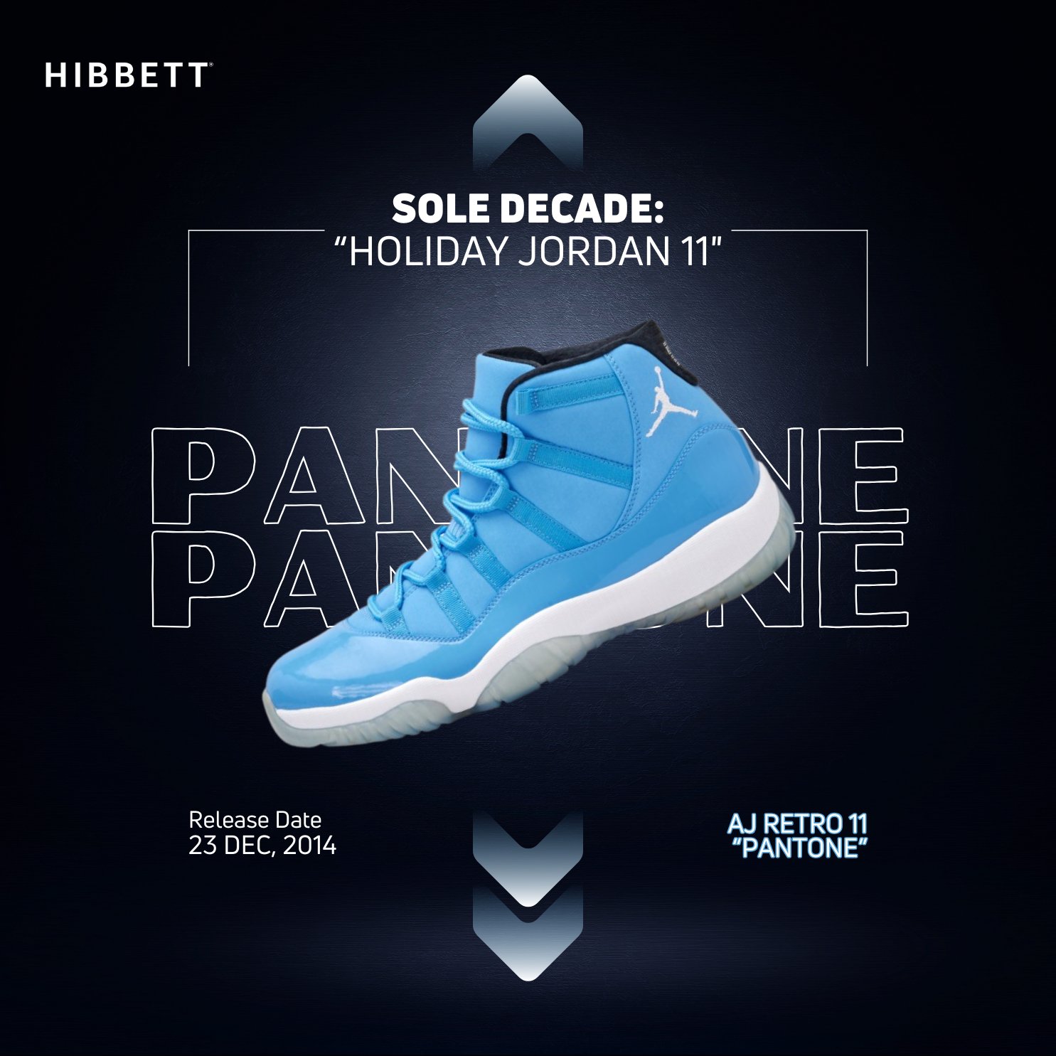 Jordan retro 11 hibbett sports 2025