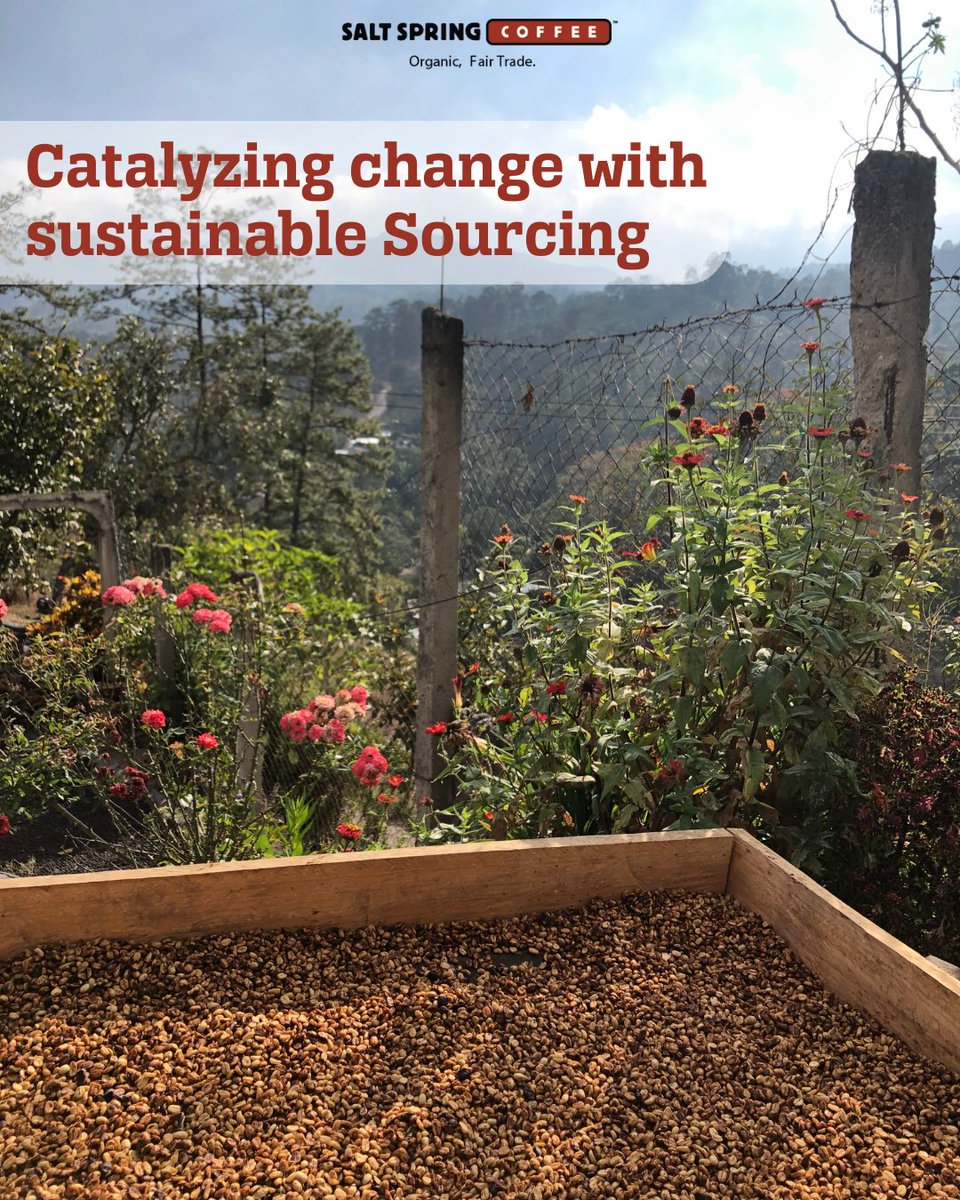 Embracing ROC® at Salt Spring Coffee, we're not just sourcing coffee, we're healing our planet. 🌍 #SustainableSourcing #ClimateAction