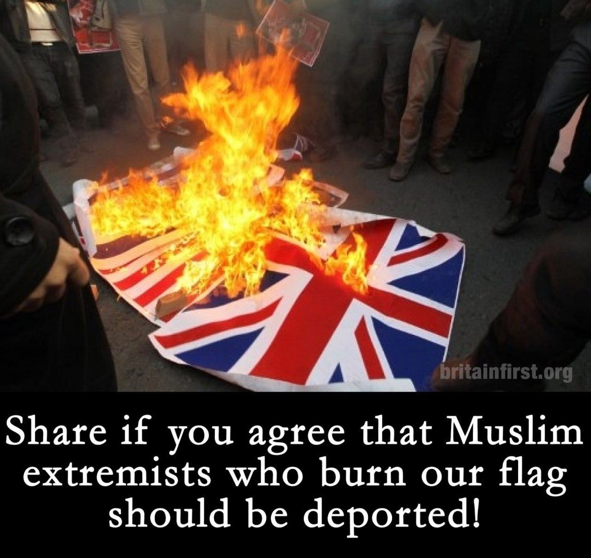 AshleaSimonBF's tweet image. All EXTREMISTS who burn our flag should be immediately deported.
Do you agree?