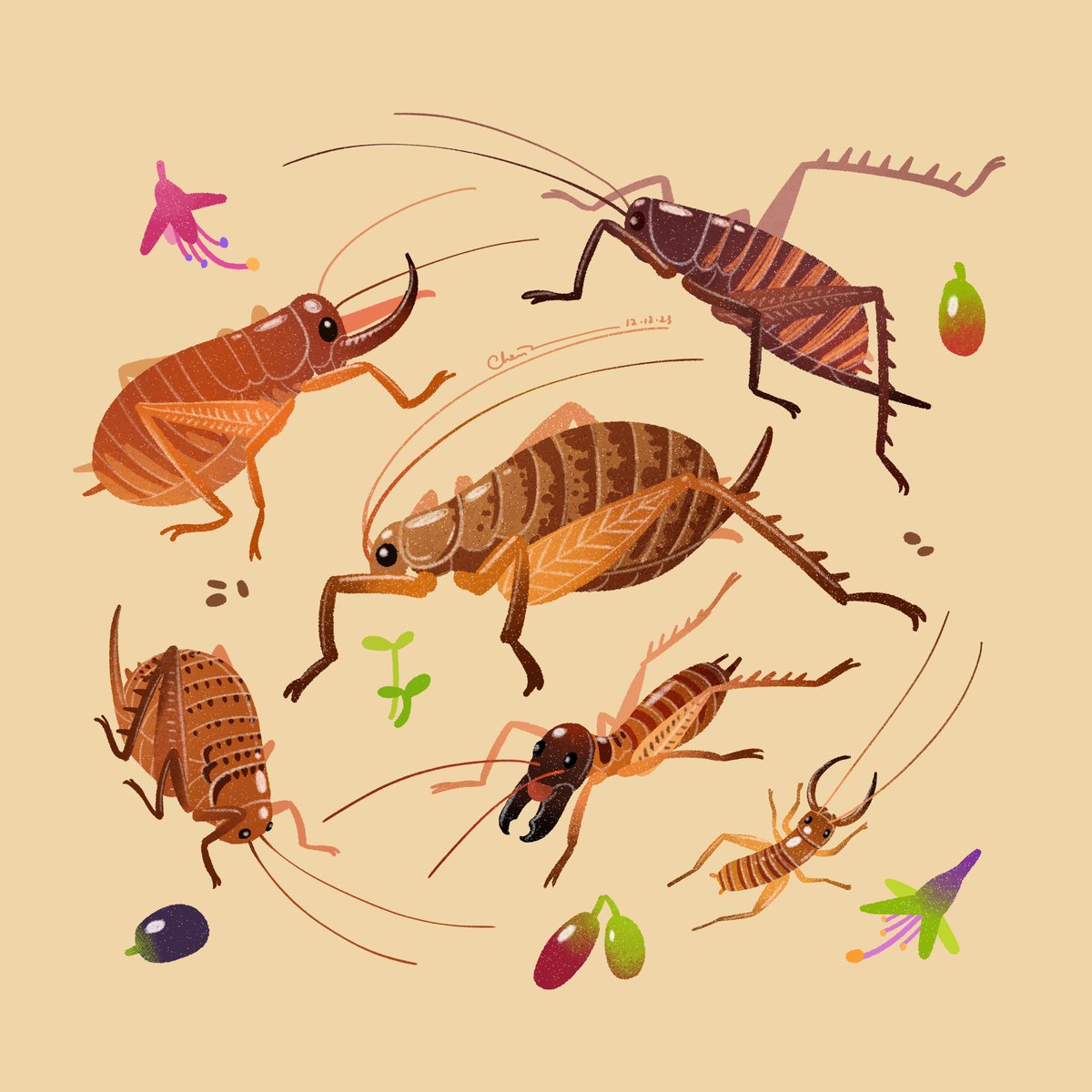 czbugsart's tweet photo. Weta land!

Wetas in New Zealand play the ecological rule of small mammals by dispersing seeds of native plants. To bad they’re severely threatened by invasive mammals now. https://t.co/sLC1bzItdZ