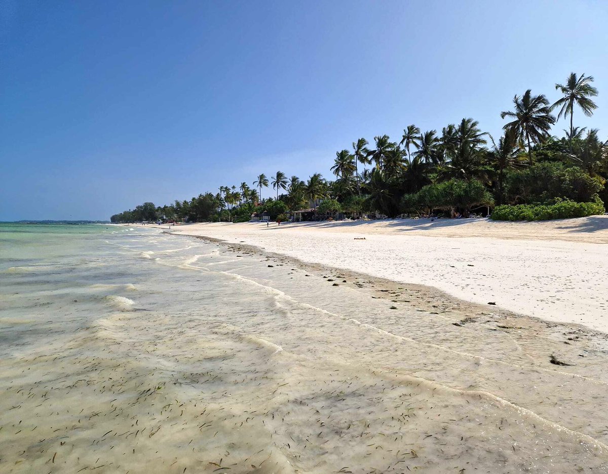 ivhq's tweet photo. Don't ever let age stop you from #volunteering! This 60 year old #volunteer has just begun his 12 week stint in #Zanzibar and is already getting stuck-in to everything on the Coastal &amp; Marine Conservation project 🤗 🙌🏾 

#IVHQ #volunteerabroad #volunteertravel #travelwithapurpose https://t.co/C5IahWZz2W