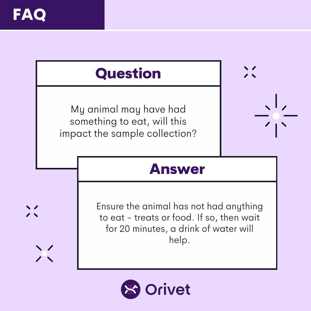 If your animal may have had something to eat before taking their sample, we recommend waiting at least 20 minutes before performing the test. 💜 Learn more FAQs here: bit.ly/3QUEHkp or reach out to our 24/7 live chat for more assistance. #orivet #dogdna #dnatest