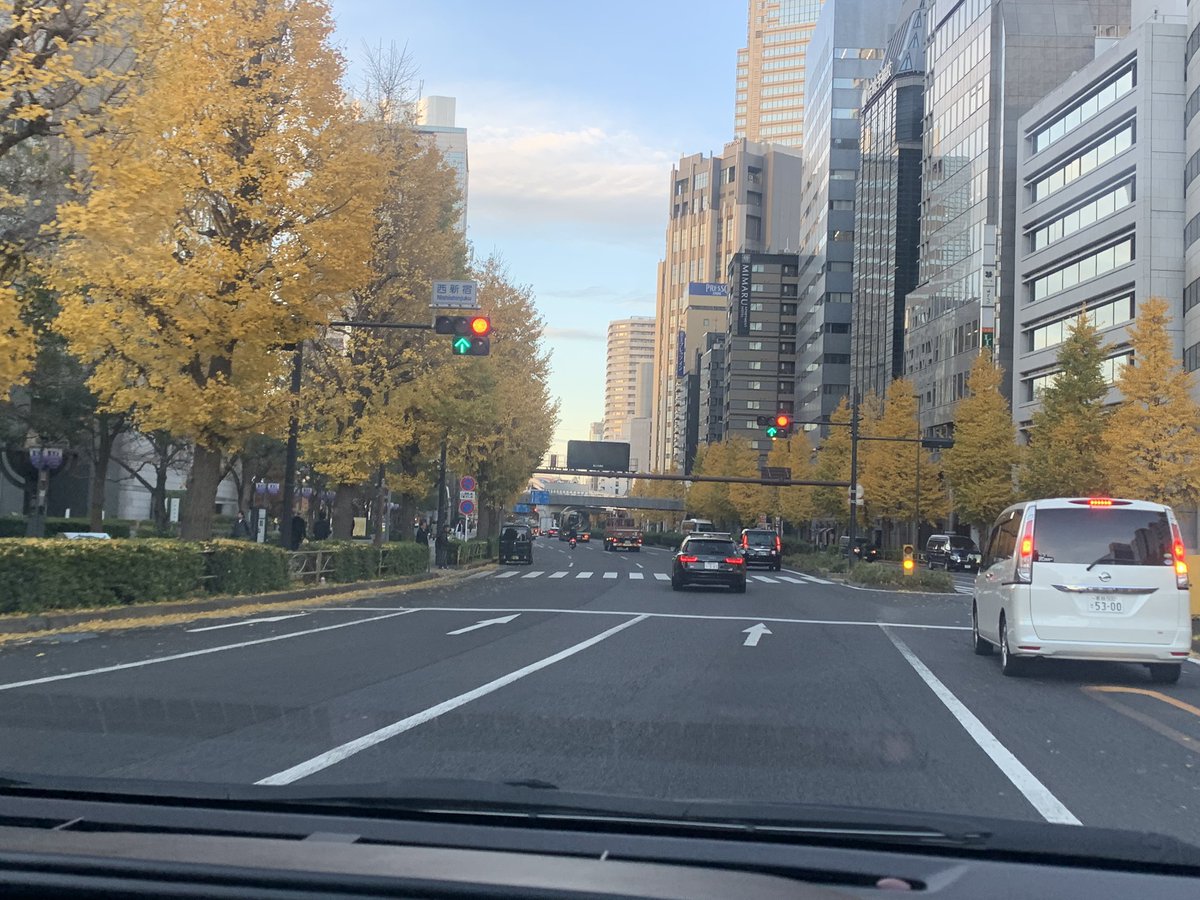 都内はイチョウの紅葉がいい感じですね！