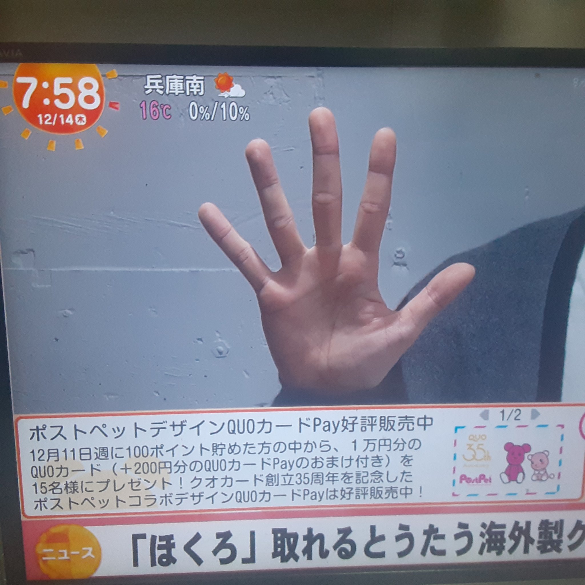 やっち on X: 