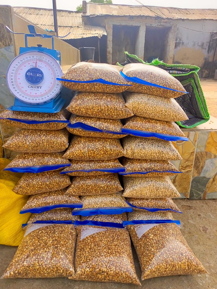Musa Dawa (@dawa911) on Twitter photo Musa is an inspiration to himself, some asked: "What would he do after resigning from <a href="/HQNigerianArmy/">Nigerian Army</a> to campaign for Obi". Today, Musa is selling beans for household consumption only at 4k for 3kg and making 10x the government palliative. Help Musa grow with a repost. Musa is an inspiration to himself, some asked: "What would he do after resigning from <a href="/HQNigerianArmy/">Nigerian Army</a> to campaign for Obi". Today, Musa is selling beans for household consumption only at 4k for 3kg and making 10x the government palliative. Help Musa grow with a repost.