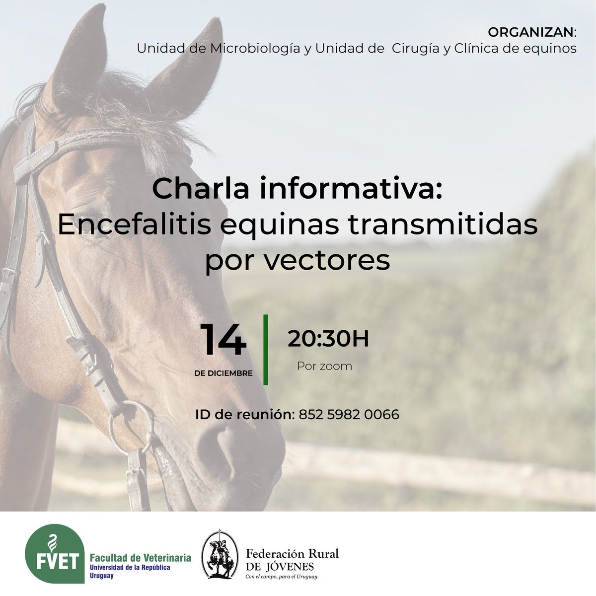 🗣️|Charla informativa

Mañana a las 20:30H se llevará a cabo una importante charla organizada por la Facultad de Veterinaria y la Federación Rural de Jóvenes sobre la Encefalitis Equina, una preocupación creciente en Uruguay.

Enlace zoom: salavirtual-udelar.zoom.us/j/85259820066