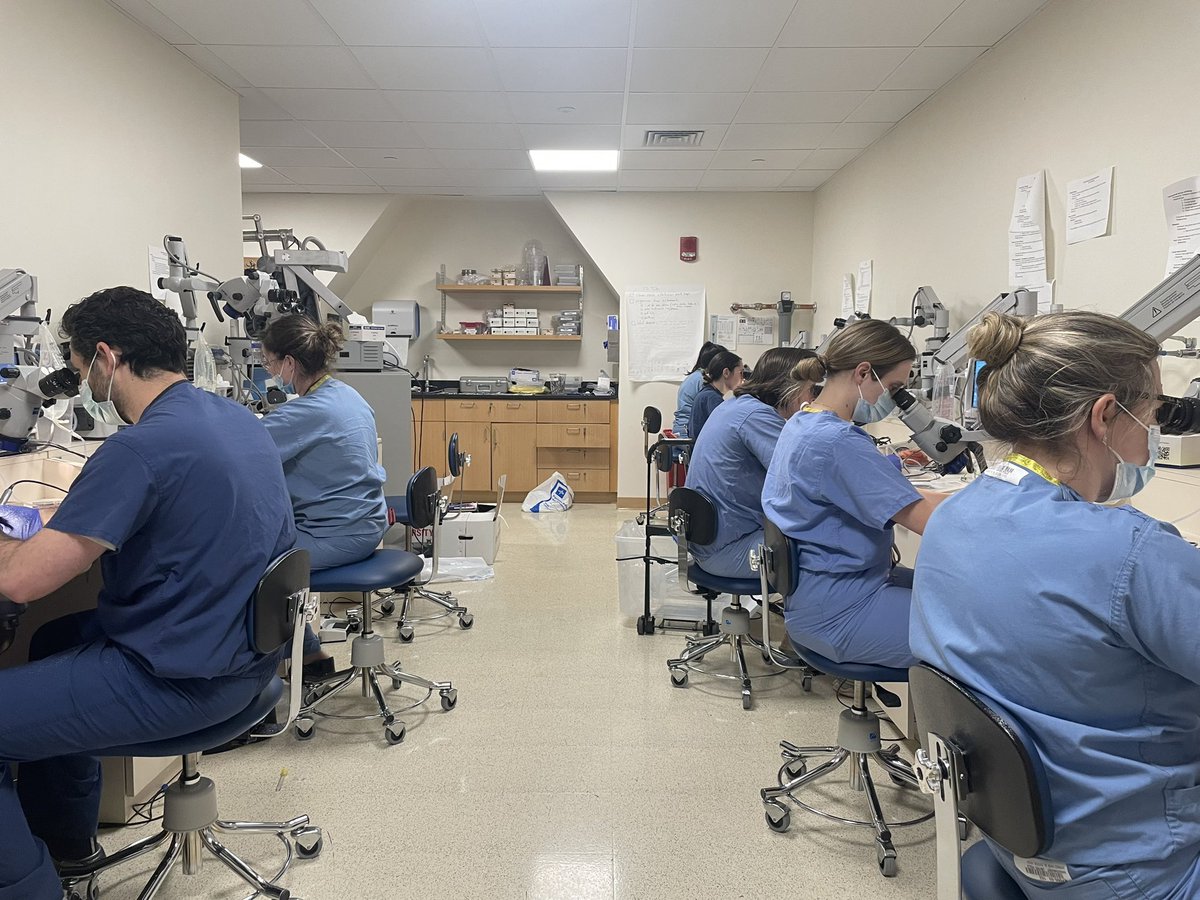 It’s drilling season! 👂 Our annual tbone & anatomy lab sessions began today as part of our didactics. Pictured are residents in sim lab drilling tbones. And, as our didactics are in conjunction w Tufts, they host anatomy lab. #otolaryngology #residency #TemporalBone #anatomy