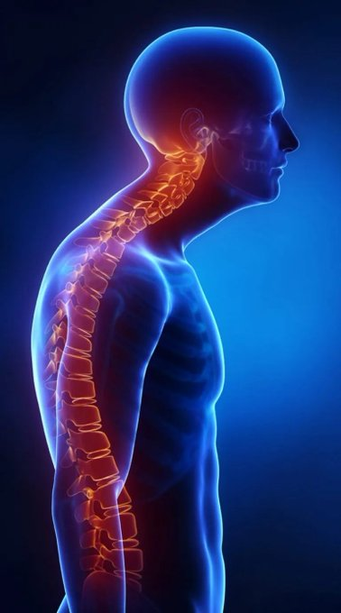 rep_ranger's tweet image. Votre corps n'a pas été conçu pour rester assis.

Cela détruit votre dos, votre cou et votre posture

Ces 3 exercices inverseront les dommages causés par le fait de passer trop de temps assis :