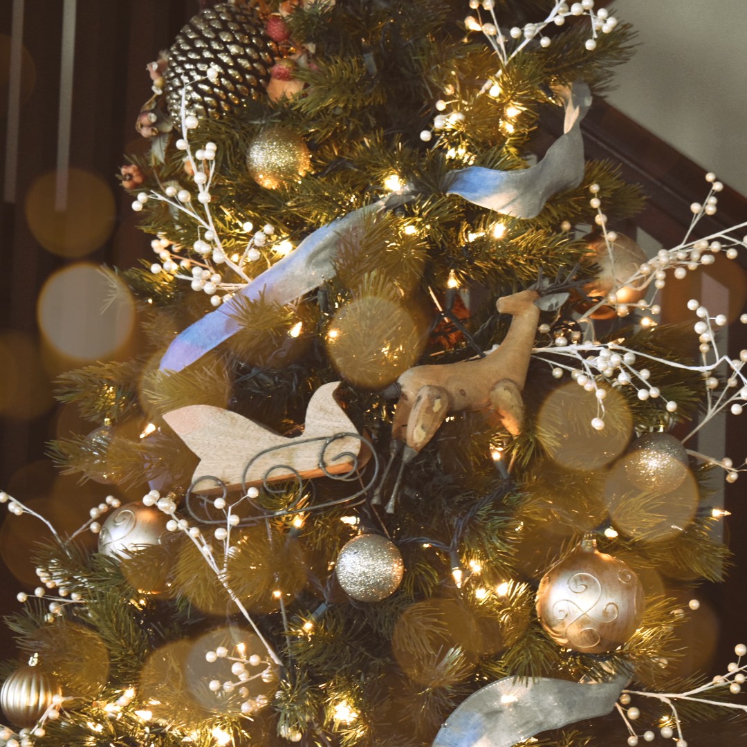 Indulge in an evening of enchantment at Cocktails by Candlelight this Friday December 15 at OCP! Sip on exquisite cocktails amidst a cozy, candlelit ambiance from 6 to 9 PM. Join us for an unforgettable night of mingling and unwinding in style. 🍸✨