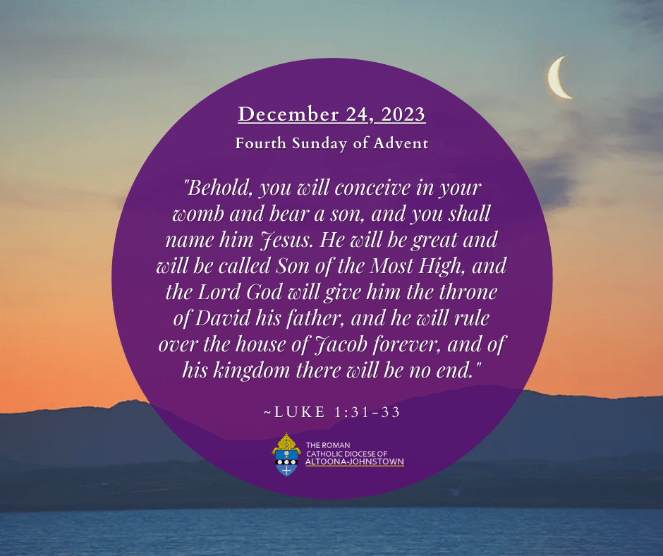 December 24, 2023 - Fourth Sunday of Advent

Today's Readings: bible.usccb.org/bible/readings…

The Proclaim! TV Mass is live today at 11:00 AM on WATM ABC 23 and will be rebroadcast tonight at 9:00 PM on Breezeline channel 9.