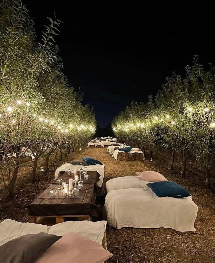 Olives & Sage offers unique dining experiences with olive grove picnics, outdoor cooking and Ancient Greek entertainment.

#ancientgreece #olivesandsage #elaiones #history #hygieia #healthy #health #Olive #olivetree #WellnessJourney #wellness 
#luxuryholidays #agrotourism