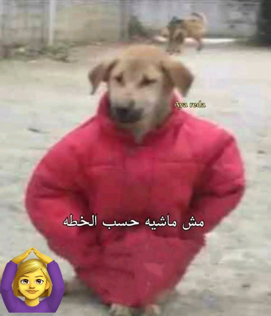 النتيجة بقي🙂🙂🙆🏻‍♀️🙆🏻‍♀️
#نتيجة_تكليف_صيدلة21