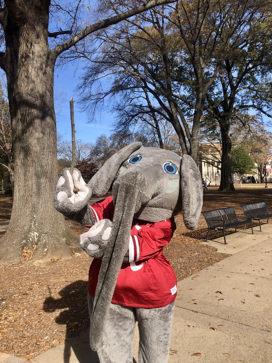 Here’s my Stick #RollTide