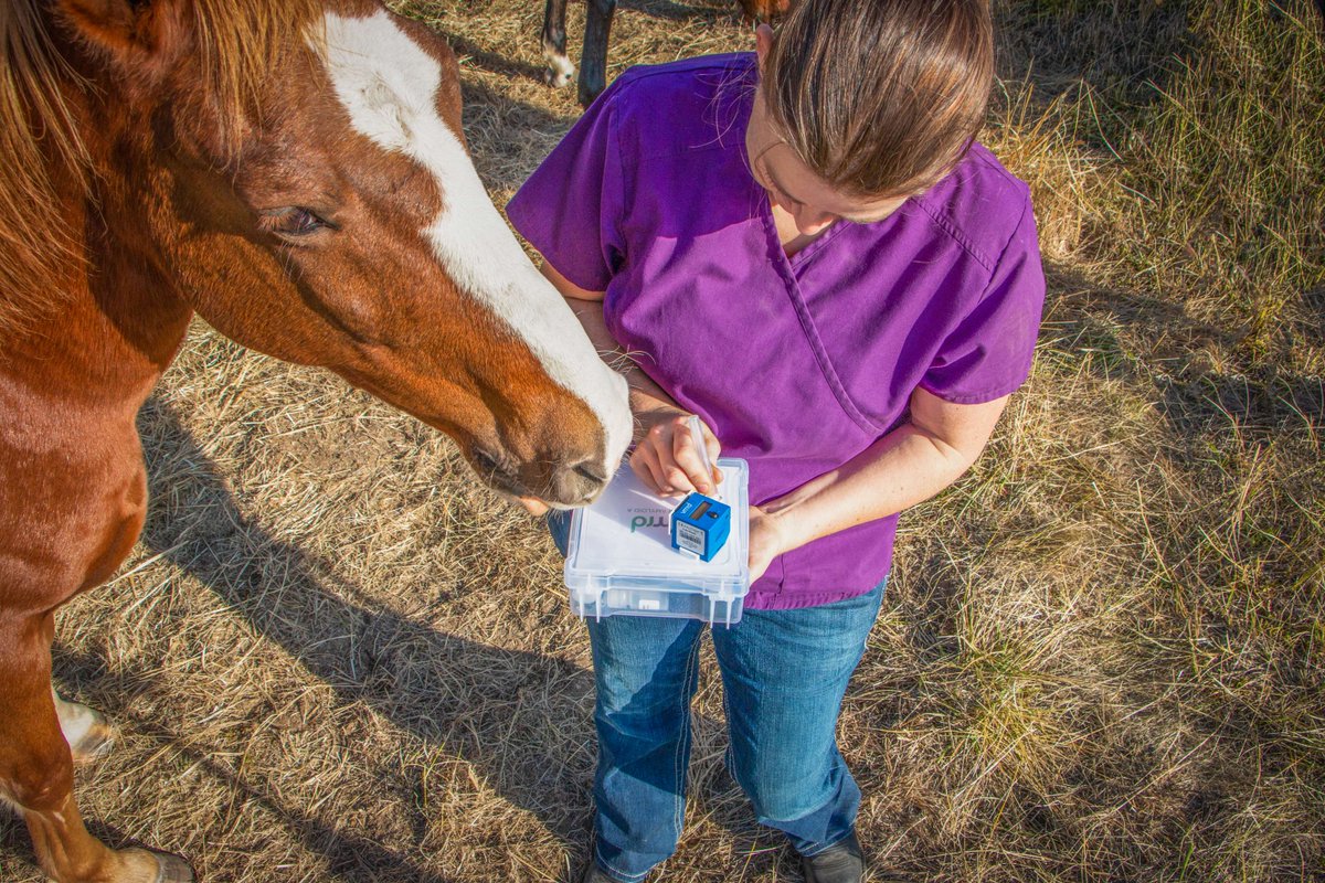 Today is National #DayofTheHorse2023, the perfect time to recognize & celebrate the incredible bond between #HorsesandHumans! 🐴❤️

Celebrate by posting a pic of you & your horse #HorseHumanBond #vmrd #animalhealth

Our available products for #horsehealth: ow.ly/LMuQ50Qg4wn