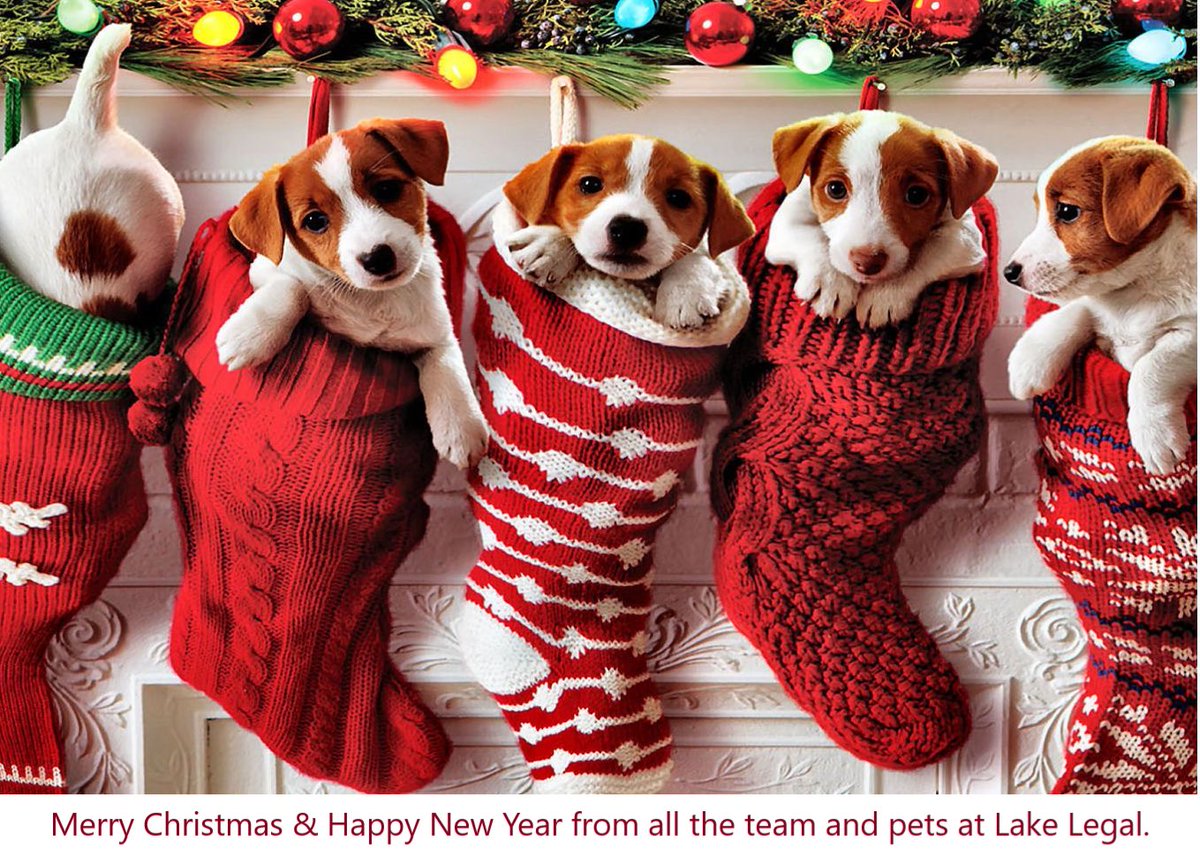 lake_legal's tweet photo. Warmest wishes for a Merry Christmas and a Happy New Year from all the team at Lake Legal.
 
In place of Christmas cards this year we have made a donation to Lucie’s Animal Rescue in Thirsk to assist with their hard work and dedication in helping animals in need.
 
🎄⛄️🥂 https://t.co/dbXllGWFQ9