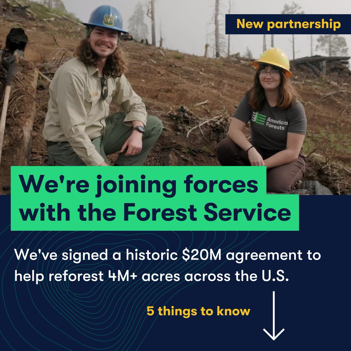 ICYMI <a href="/AmericanForests/">American Forests</a> &amp; @ForestService just signed a Keystone Agreement to stage manage the process for turning REPLANT Act funding into climate-resilient reforestation across our National Forests at a scale unparalleled on🌎. Here's the story in 5 acts...🧵