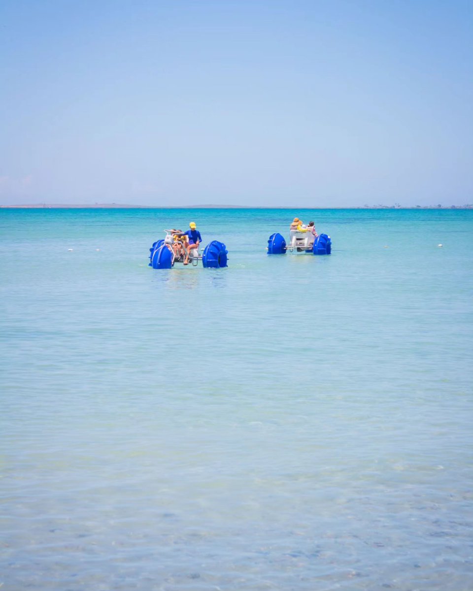 Ven a disfrutar de un día diferente en nuestras playas y déjate llevar por la magia del mar y el sol🌤🏝

¡Te esperamos con los brazos abiertos para hacer de tu día en la playa una experiencia inolvidable!😉😍🫶🏻