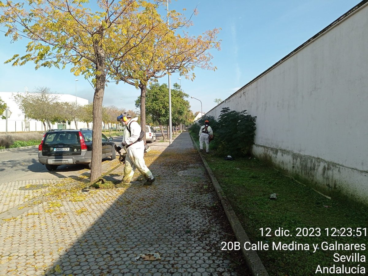 Los servicios de limpieza <a href="/LipasamSevilla/">Lipasam</a> y Parques y Jardines siguen trabajando en el Distrito Norte. Hoy  en Valdezorras y San jerónimo entre otras zonas.
Seguimos!!