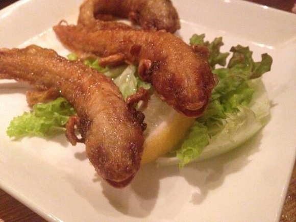 😱Un restaurante de comida exótica en Yokohama #Japón sirve ajolotes fritos como parte de su menú

#Ajolote #Viral