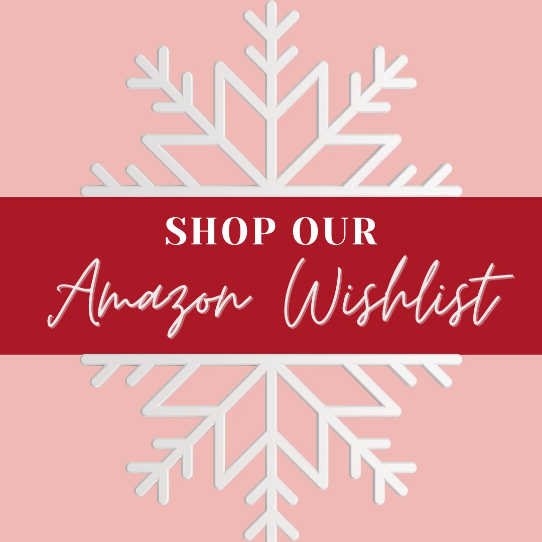 Can you believe Christmas is almost here? Please consider making this holiday season special for our residents at the safe home. Check out our Amazon Christmas Gift List. Shop here: amazon.com/hz/wishlist/ls…
