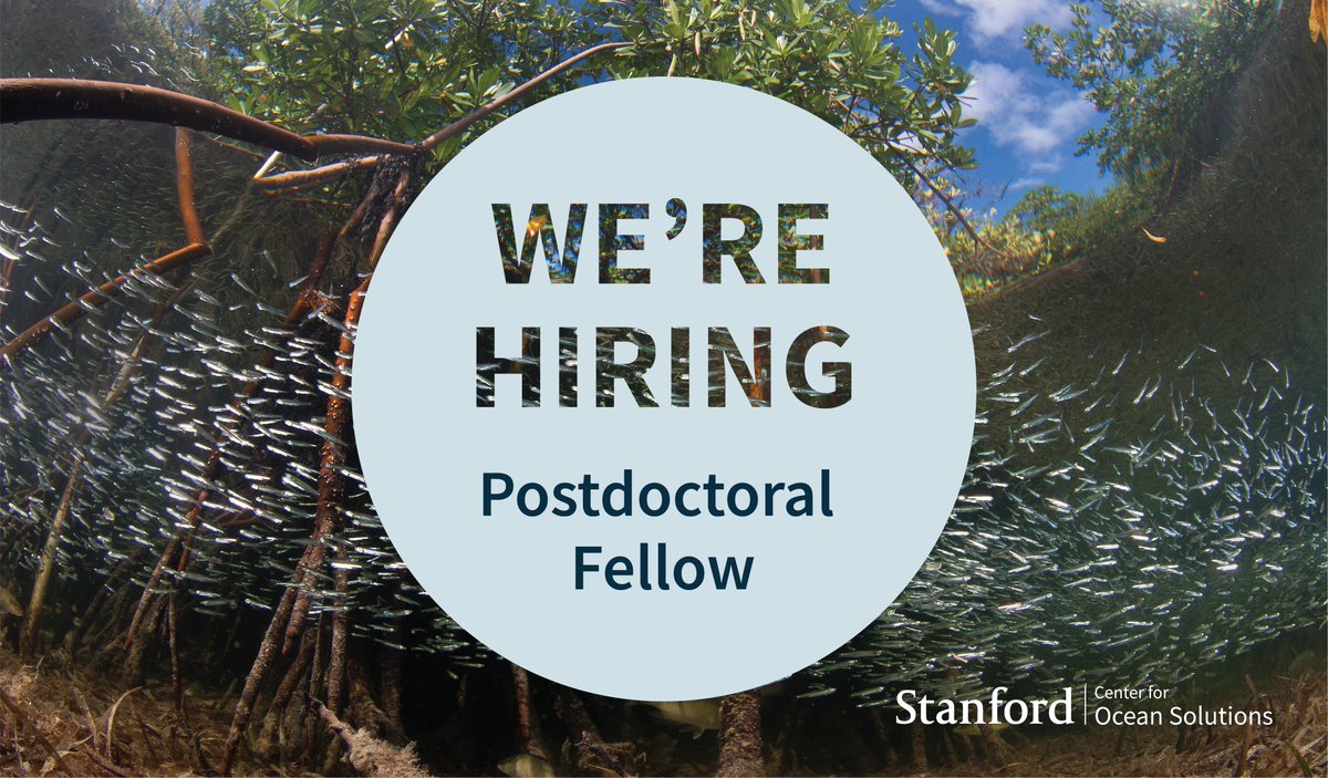We're hiring! 🐟 Join the @oceansolutions team as a Postdoctoral Fellow to support efforts at the intersection of climate change and #BlueFood research and engagement. Learn more and apply ➡️ bit.ly/3SkEWGh