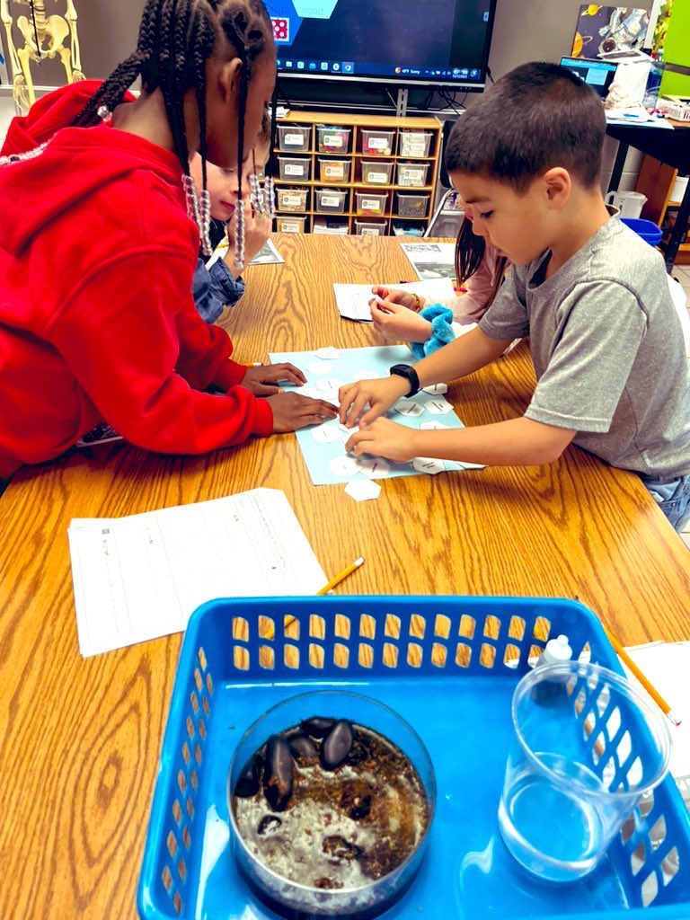 #sessharks in grade 4 apply hexagonal thinking to reason out human impact on global warming! Reasons were refined to support CER claims about global warming! #wondermore <a href="/VBGifted/">VBCPS Office of Gifted Programs</a> @StrawbridgeES
