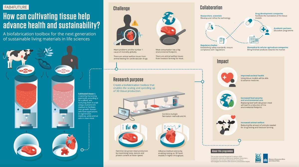 Looking forward innovating together on this @NWONieuws perspectief project led by @MoroniGroup. @TheDrBaker @RicLevato @josmalda @VET_UniUtrecht @RMUtrecht @MERLN_UM @UMCUtrecht @PaulWieringa @carlos_m_mota @MosaMeat