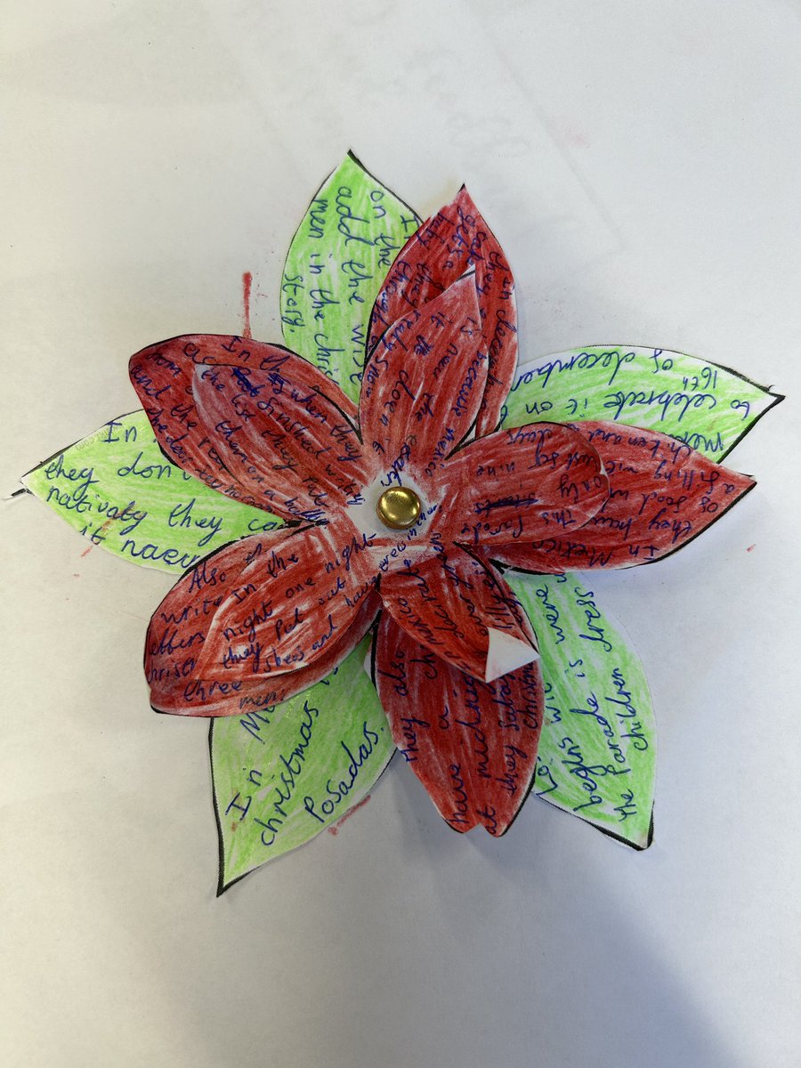 Presenting our learning about navidad en Mexico on these beautiful poinsettias, which are indigenous to Mexico and widely used at Christmas. 🇲🇽🎅 <a href="/DanesfieldSchl/">Danesfield School</a>