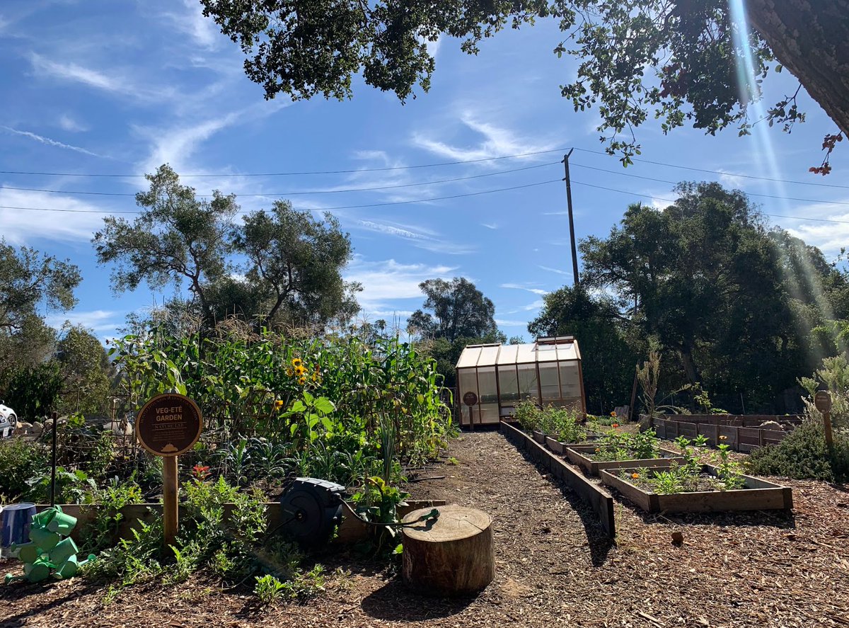 Anthony Ranii tweet media