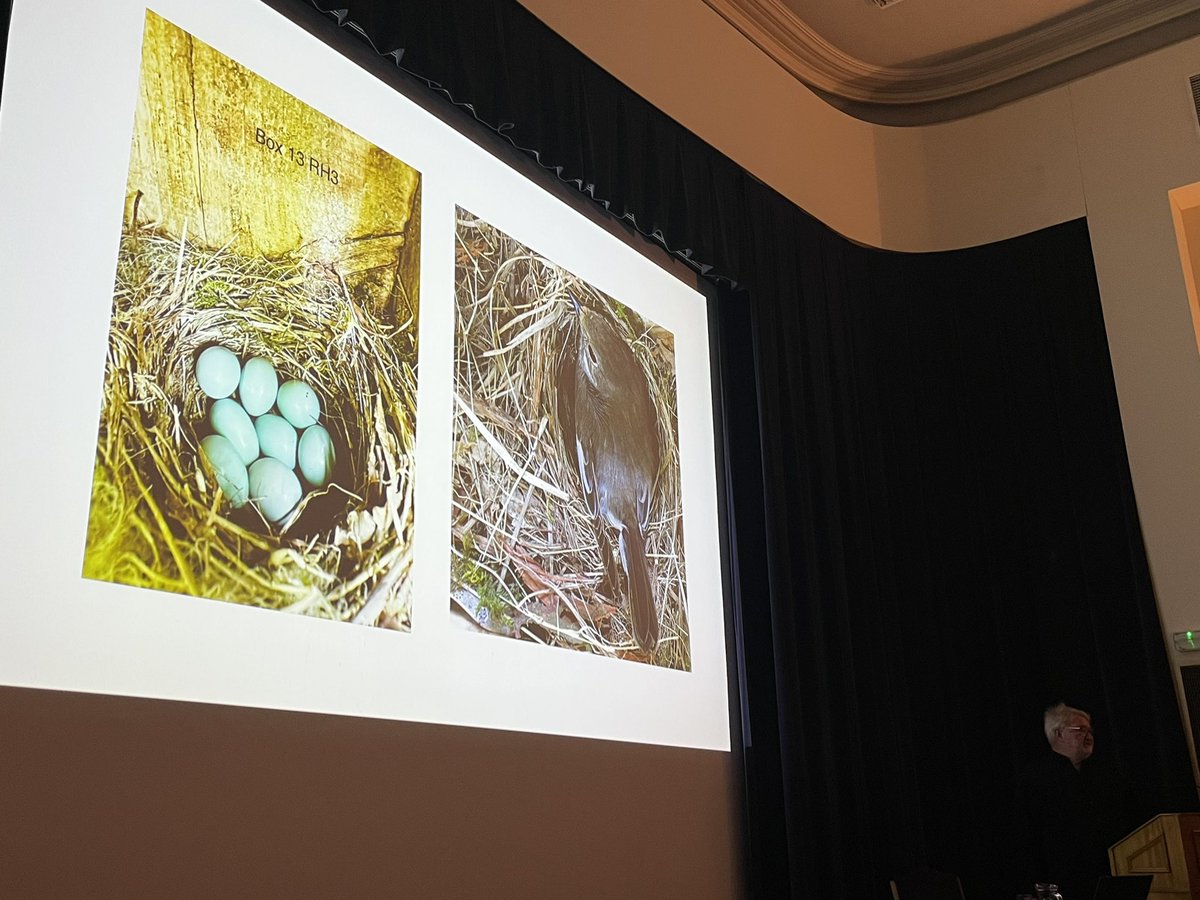 Wednesday Batchelor (@ofwolfandwhale) on Twitter photo Very informative talk from John Callion <a href="/CumbriaBirdClub/">Cumbria Bird Club</a> on his work with Stonechats and Pied Flycatchers for the final <a href="/CarlisleNats/">Carlisle Nats</a> talk of the year. Very informative talk from John Callion <a href="/CumbriaBirdClub/">Cumbria Bird Club</a> on his work with Stonechats and Pied Flycatchers for the final <a href="/CarlisleNats/">Carlisle Nats</a> talk of the year.