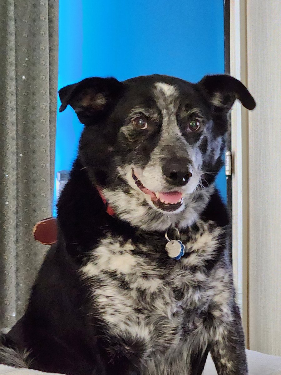 Dianne Baldassano tweet media