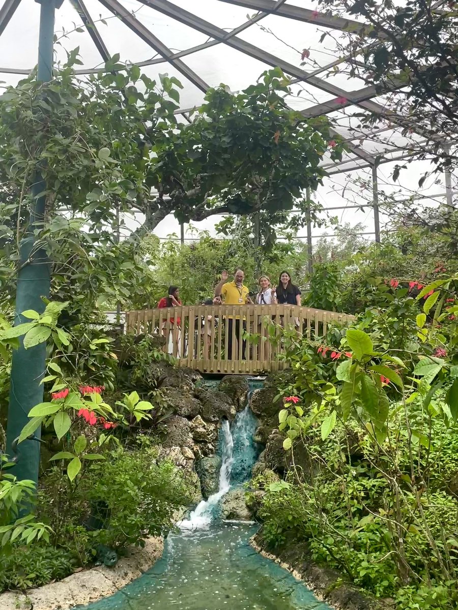 STEAMwithYsa's tweet image. Did you know that @CoconutCreekFLA is the butterfly capital of the world?
Today we explored and took photos of these breathtaking creatures with our students ๐ฆ