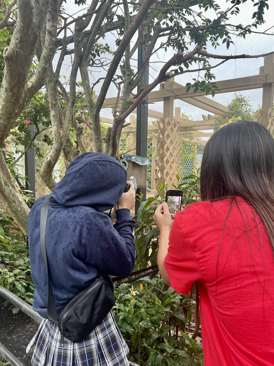 STEAMwithYsa's tweet image. Did you know that @CoconutCreekFLA is the butterfly capital of the world?
Today we explored and took photos of these breathtaking creatures with our students ๐ฆ